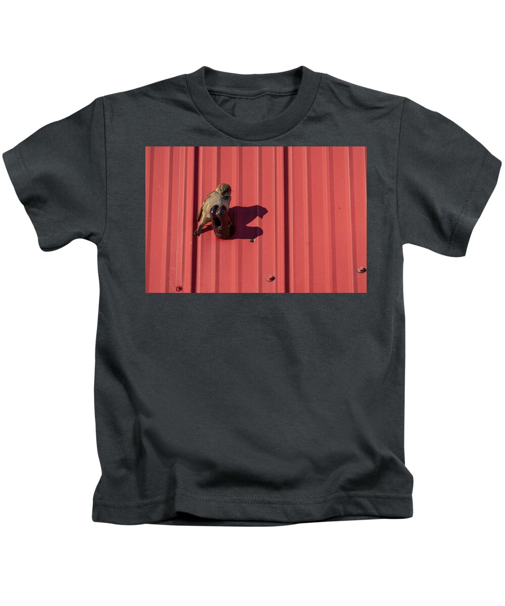 Sparrow Kids T-Shirt featuring the photograph House Sparrow On A Barn Wall by Karen Rispin