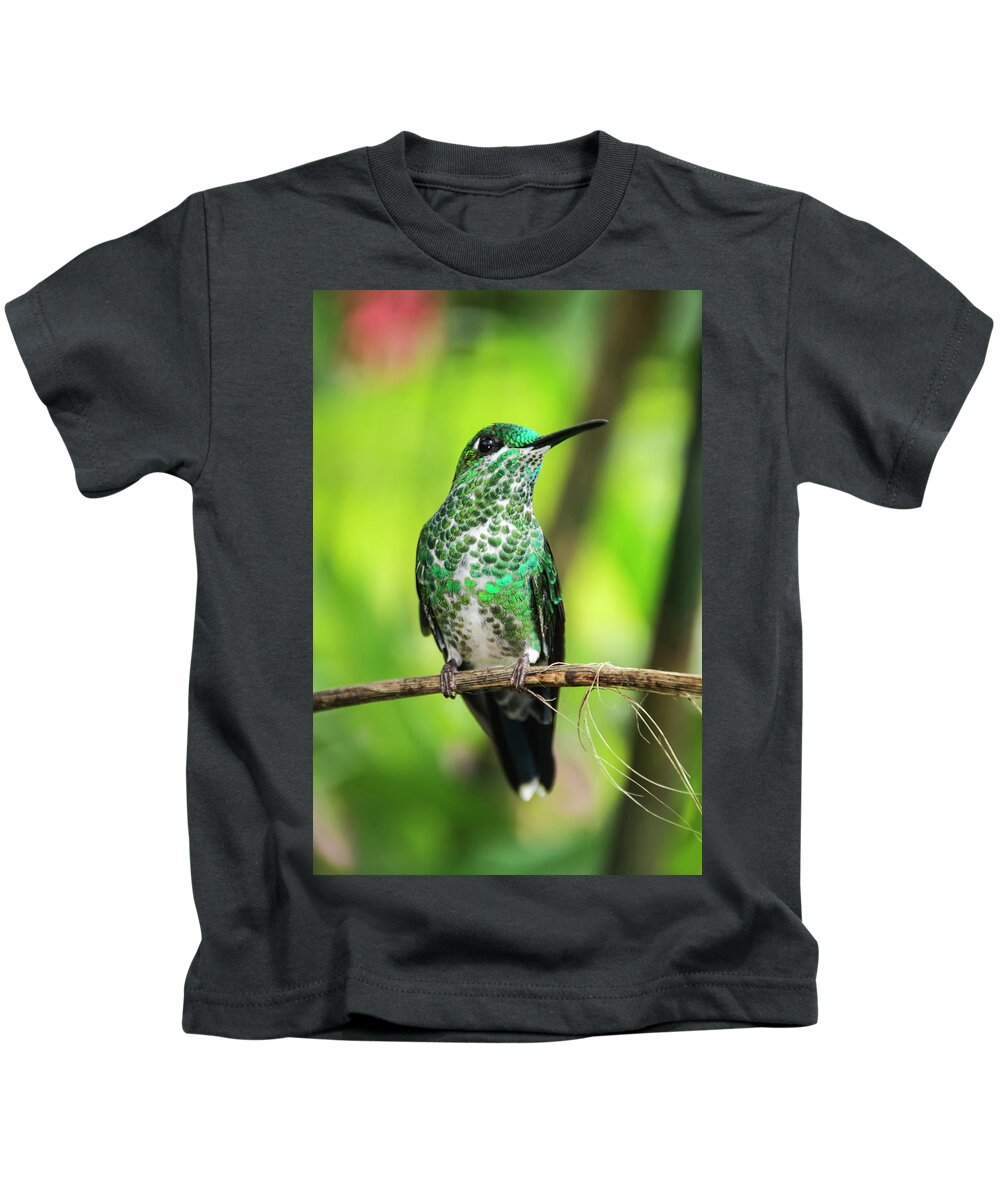 Hummingbird Kids T-Shirt featuring the photograph Hummingbird in Rainforest by Oscar Gutierrez
