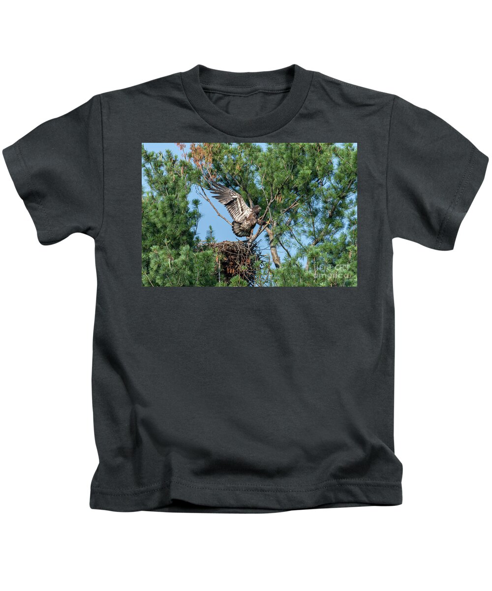 Juvenile Bald Eagle Kids T-Shirt featuring the photograph Immature Bald Eagle Learning to Fly by Ilene Hoffman