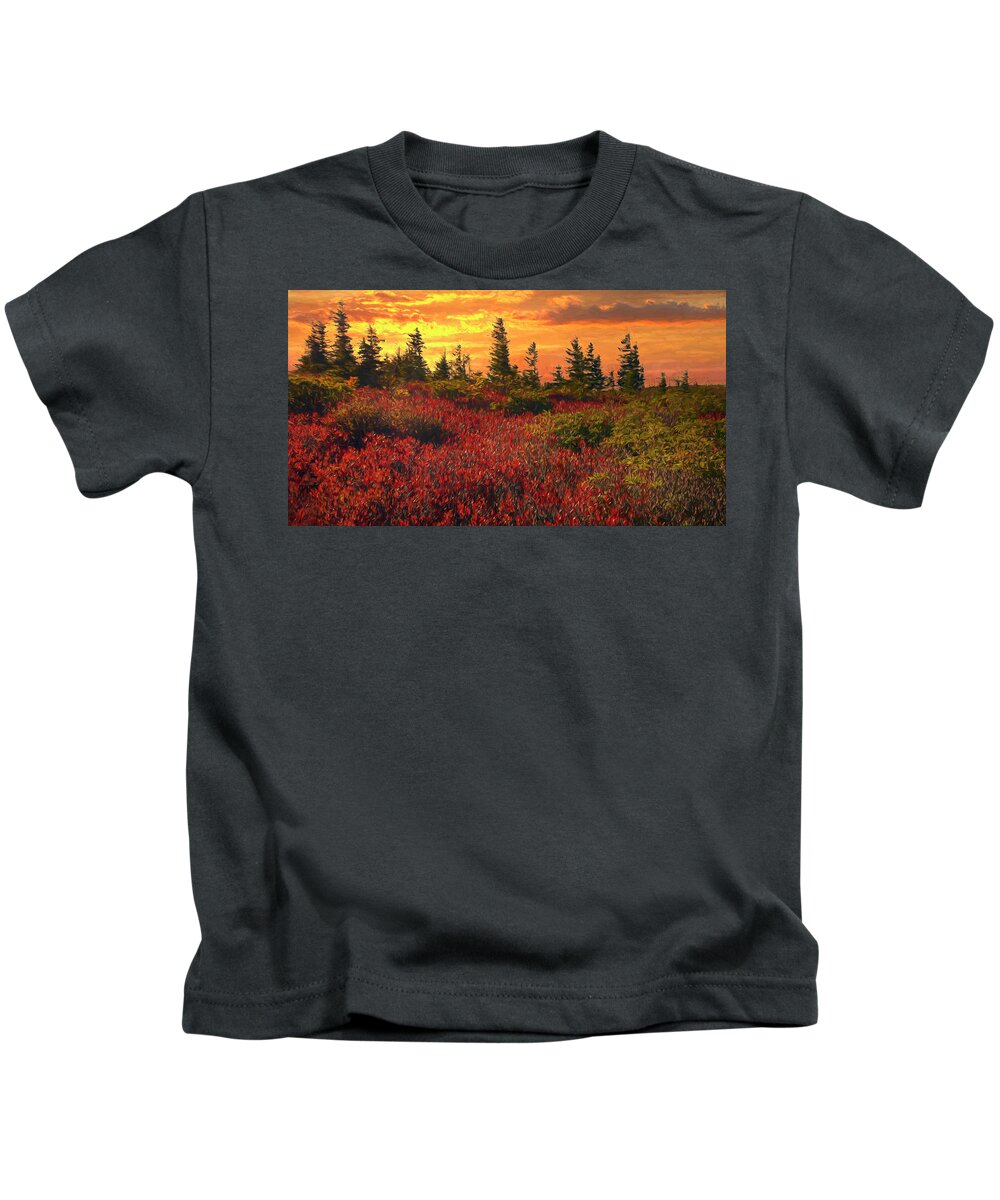 Dolly Sods Kids T-Shirt featuring the photograph Impressionistic Dolly Sods by Art Cole