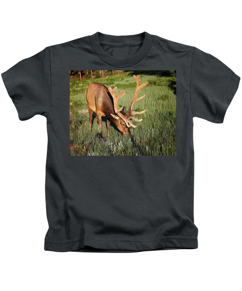 6x6 Kids T-Shirt featuring the photograph In Velvet by Ronald Lutz