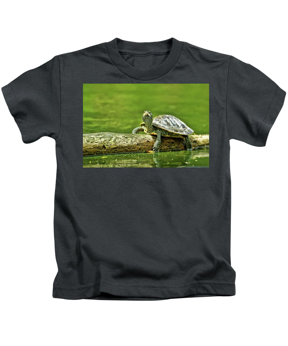 2016 Kids T-Shirt featuring the photograph Inquisitive Turtle by Robert Charity