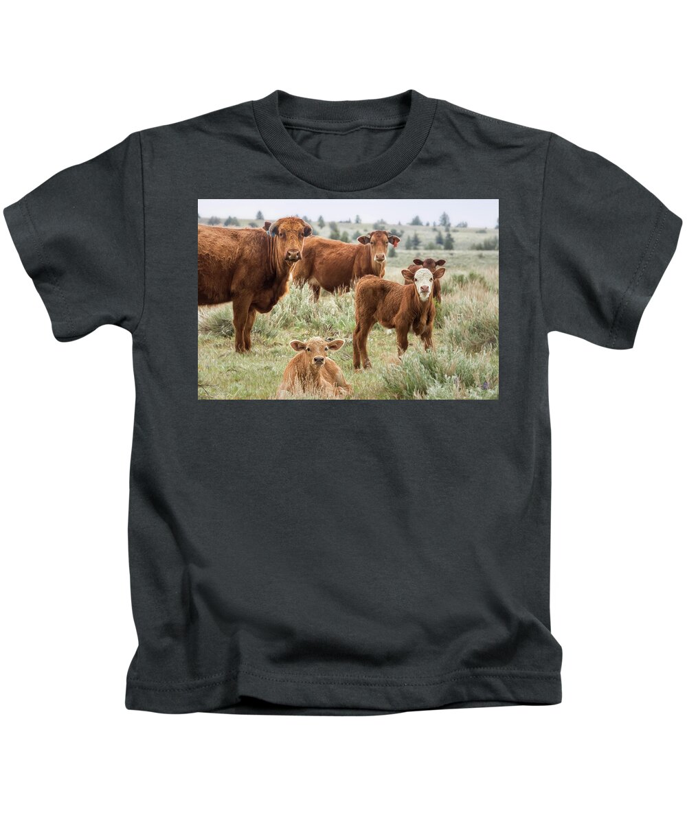 Cow Kids T-Shirt featuring the photograph J'Accuse by Belinda Greb