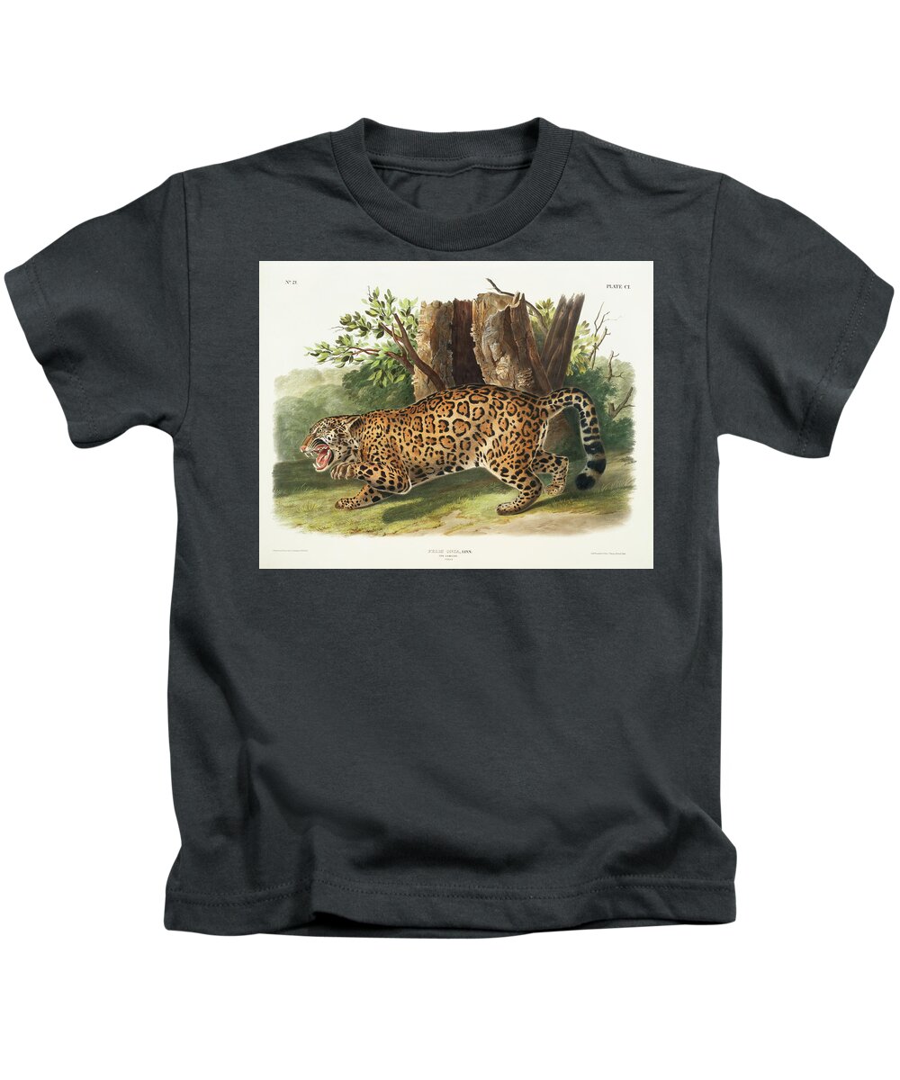 America Kids T-Shirt featuring the mixed media Jaguar. John Woodhouse Audubon Illustration by World Art Collective