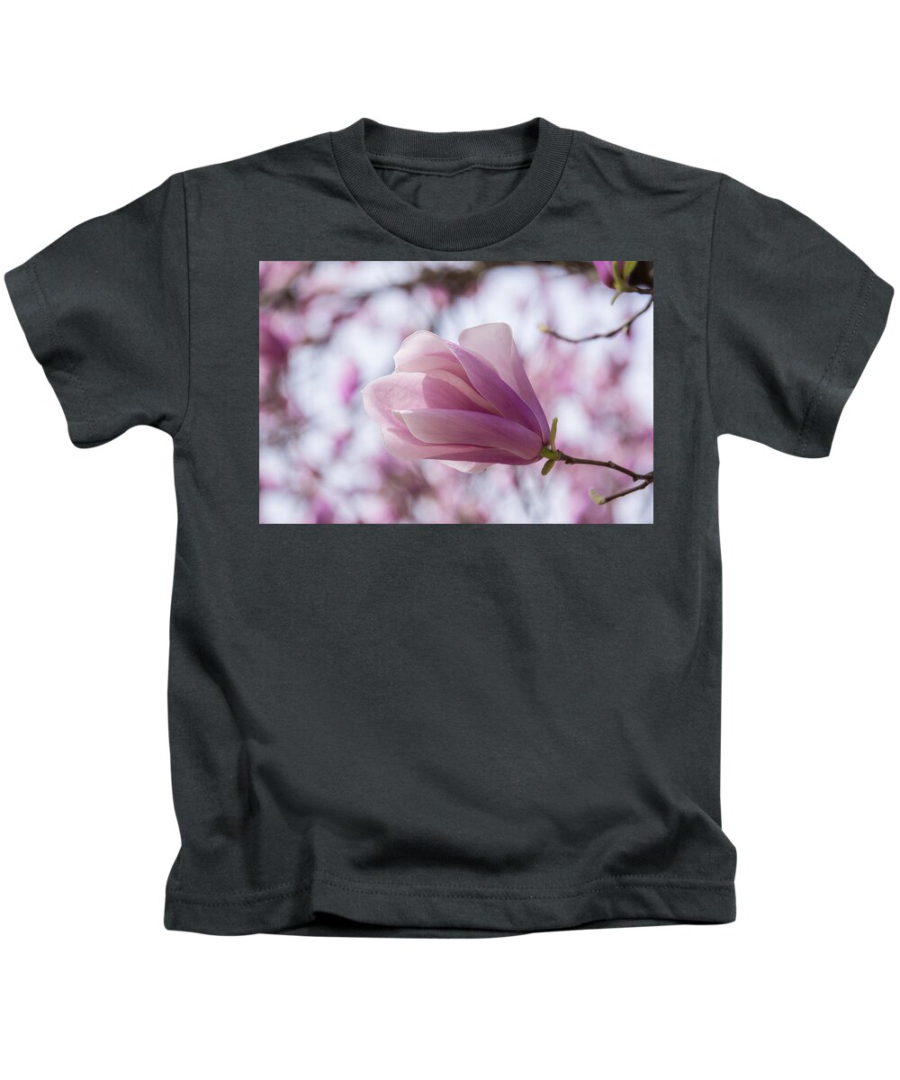 Magnolia Kids T-Shirt featuring the photograph Jane Magnolia by Rose Guinther