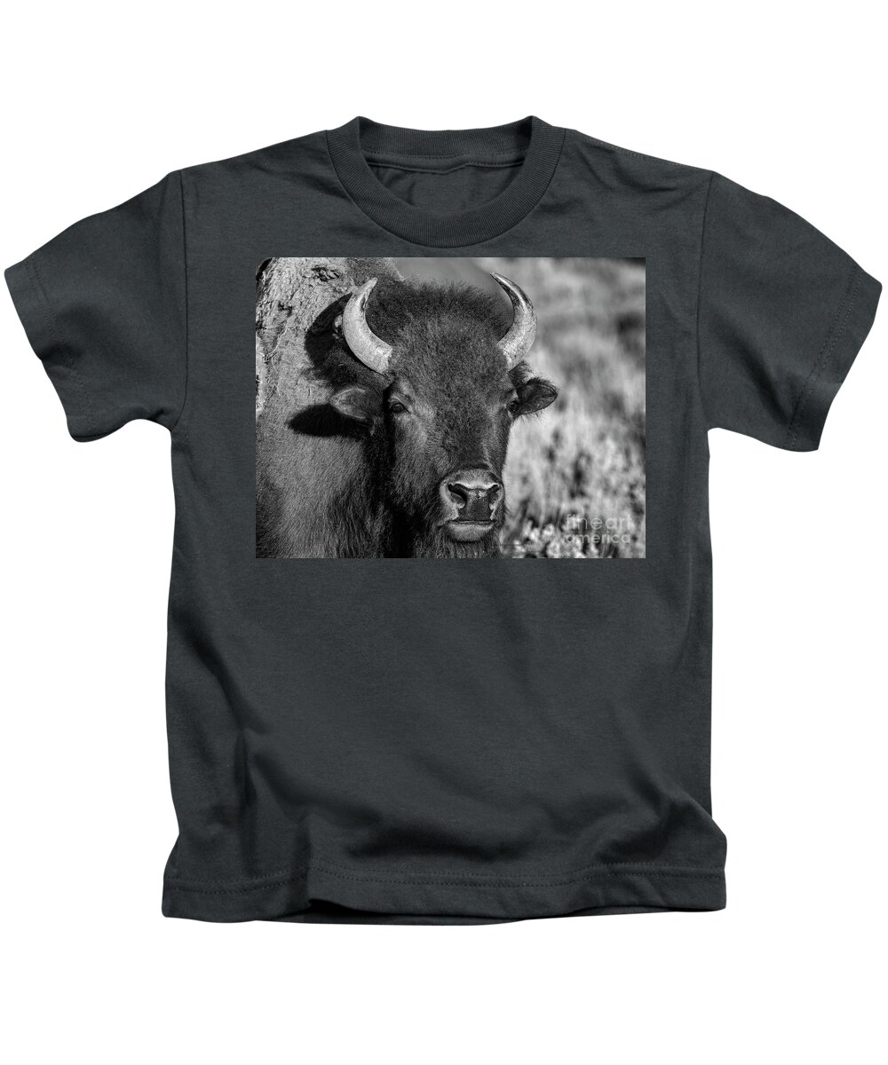 Wildlife Kids T-Shirt featuring the photograph Just Posing by Sandra Bronstein