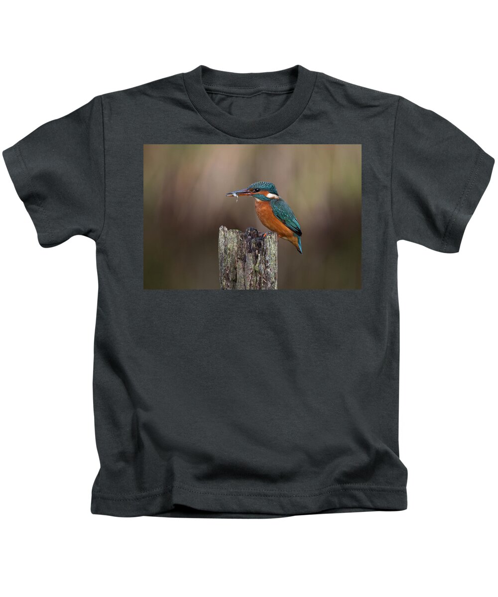 Kingfisher Kids T-Shirt featuring the photograph Kingfisher With Fish by Pete Walkden