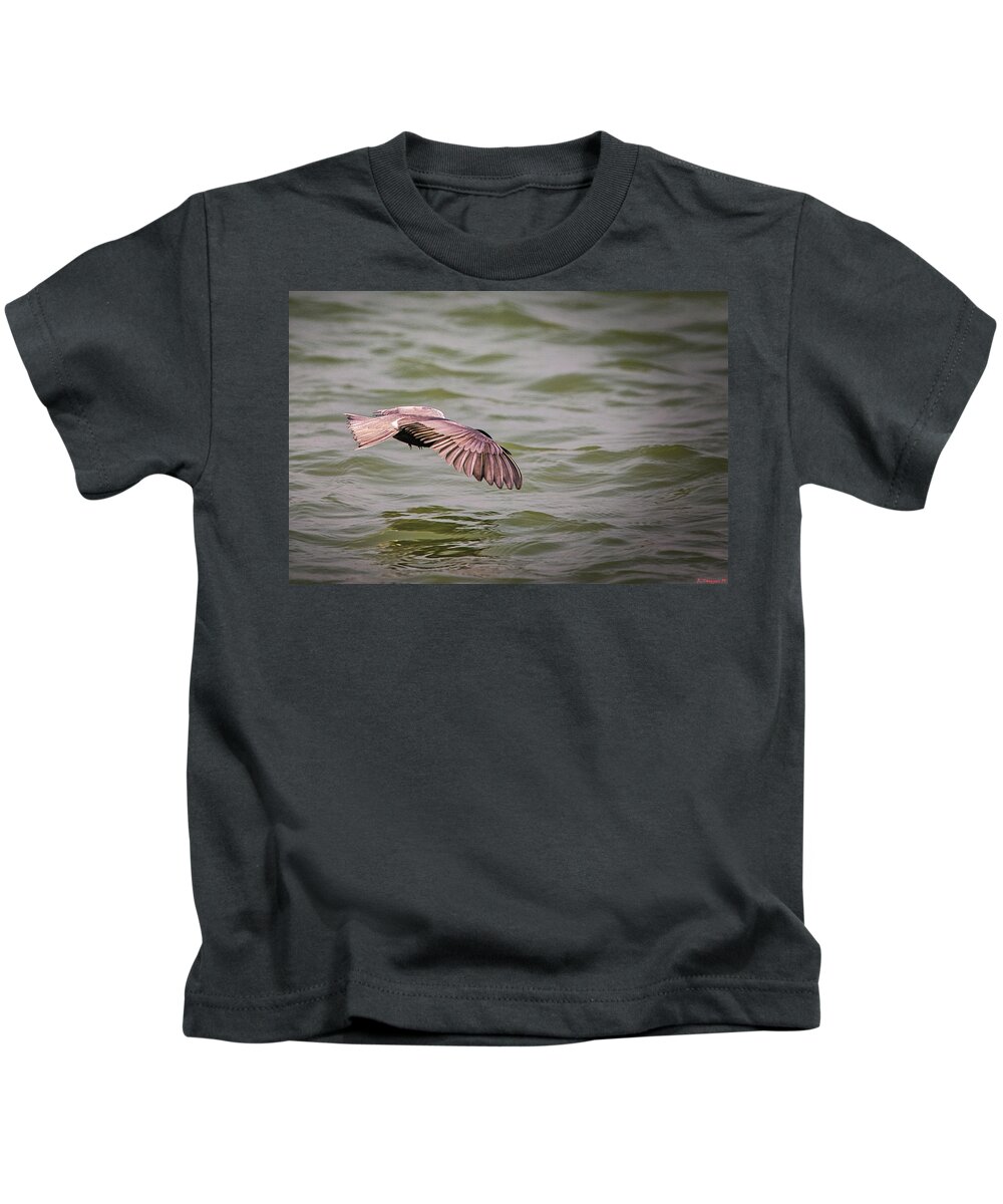 Duck Kids T-Shirt featuring the photograph Leach's Storm Kestrel by Rene Vasquez