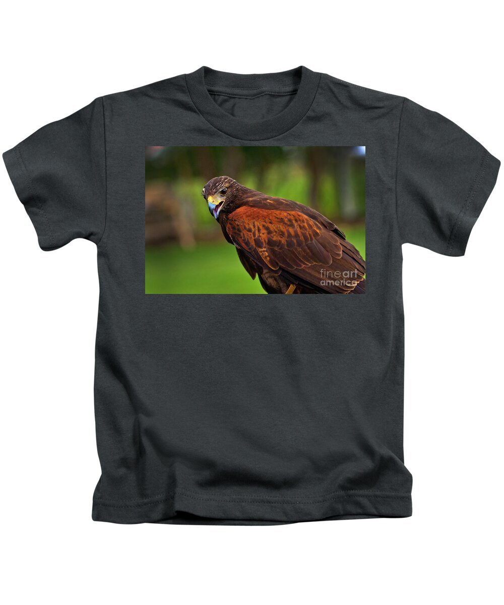 Tarqui Kids T-Shirt featuring the photograph Learning To Hunt Again IV by Al Bourassa