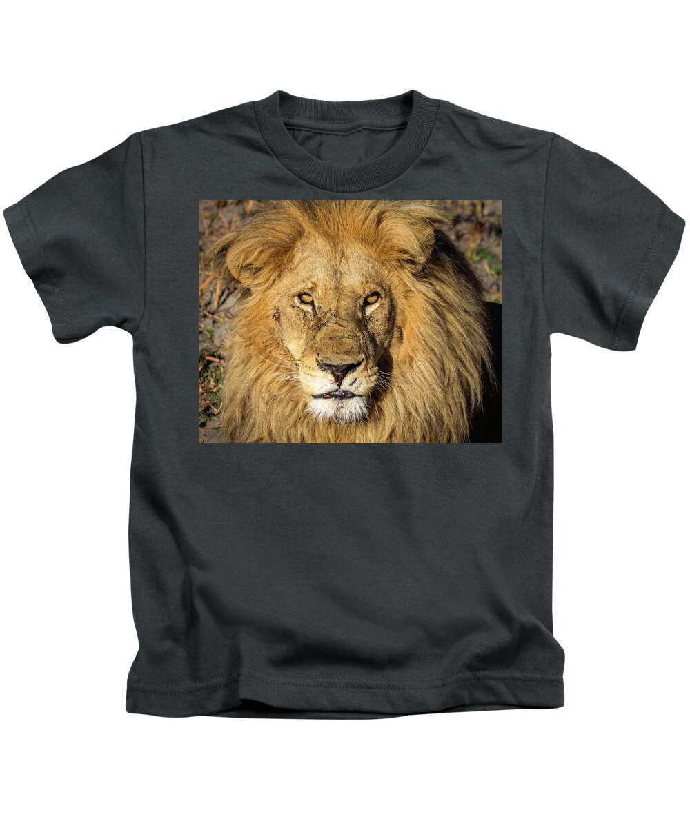 Lion Kids T-Shirt featuring the photograph Lion King by Elvira Peretsman