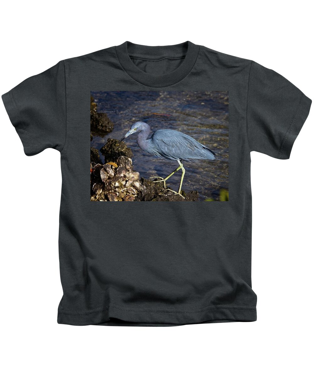 Little Blue Heron Kids T-Shirt featuring the photograph Little Blue Heron by Ronald Lutz