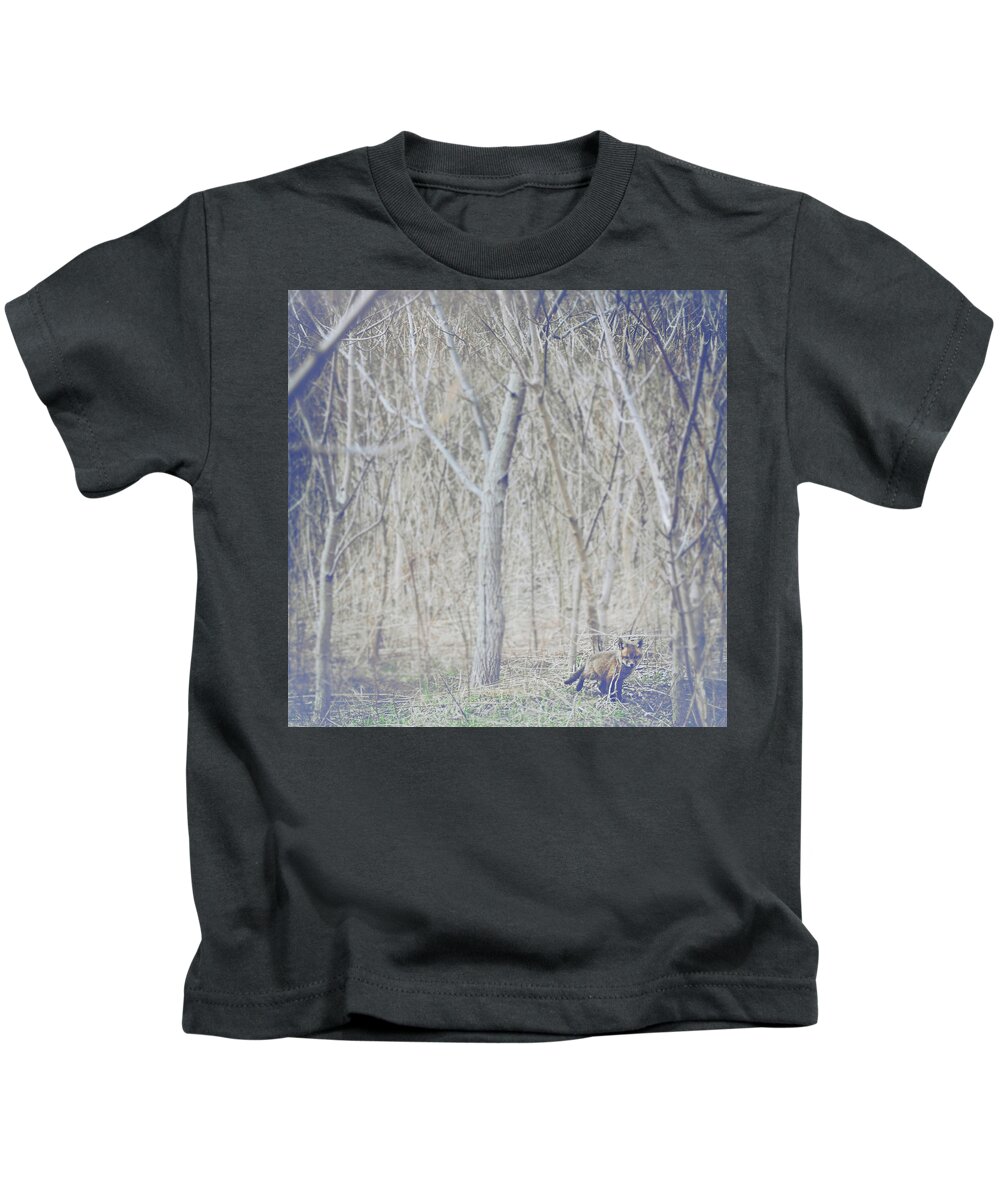 Little Fox In The Woods Kids T-Shirt featuring the photograph Little Fox in the Woods 2 by Carrie Ann Grippo-Pike