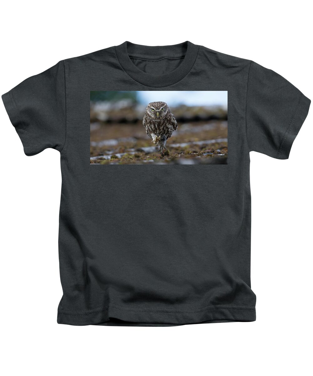 Little Kids T-Shirt featuring the photograph Little Owl On The Run by Pete Walkden