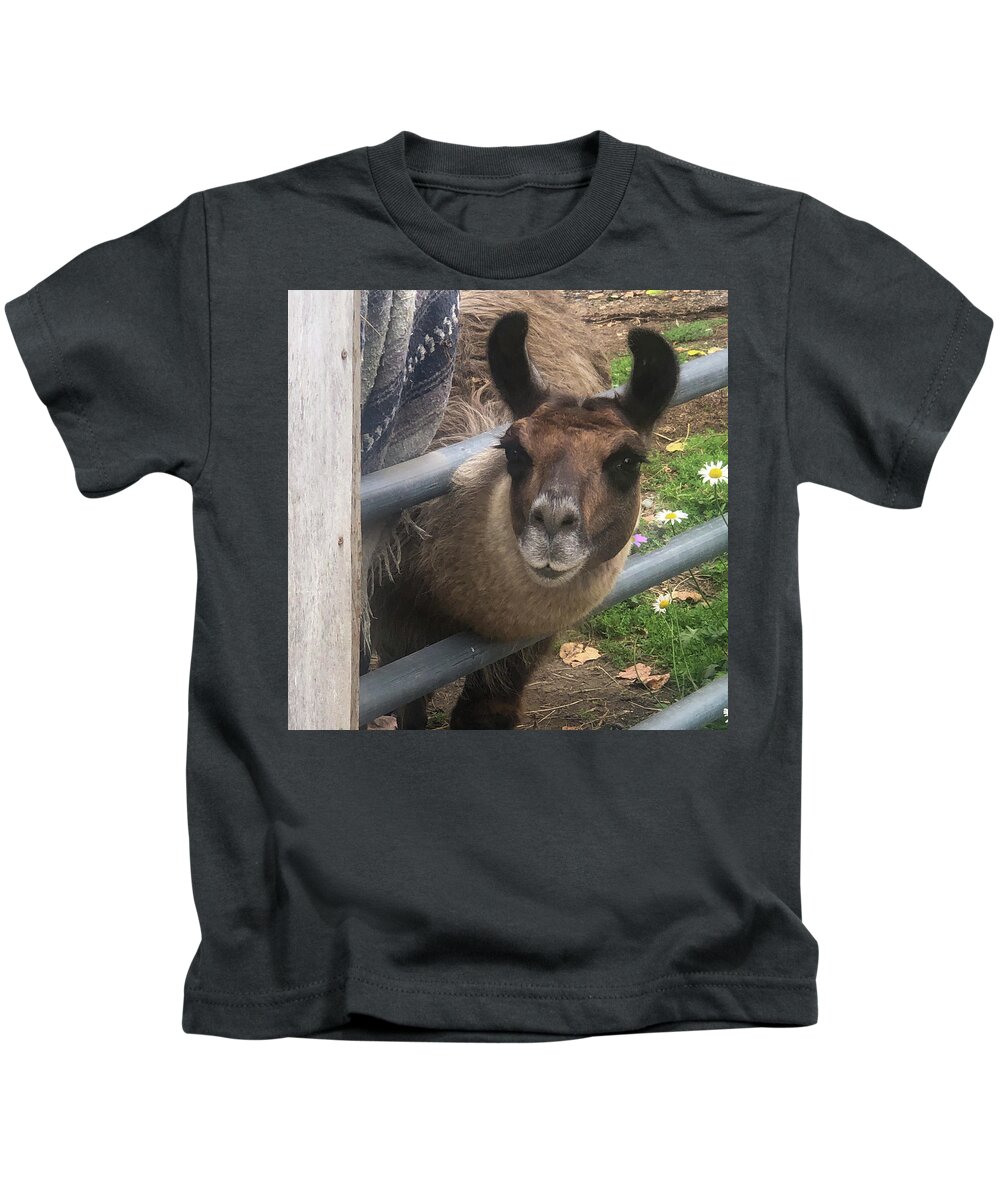 Fence Kids T-Shirt featuring the photograph Llama pen by Grey Coopre