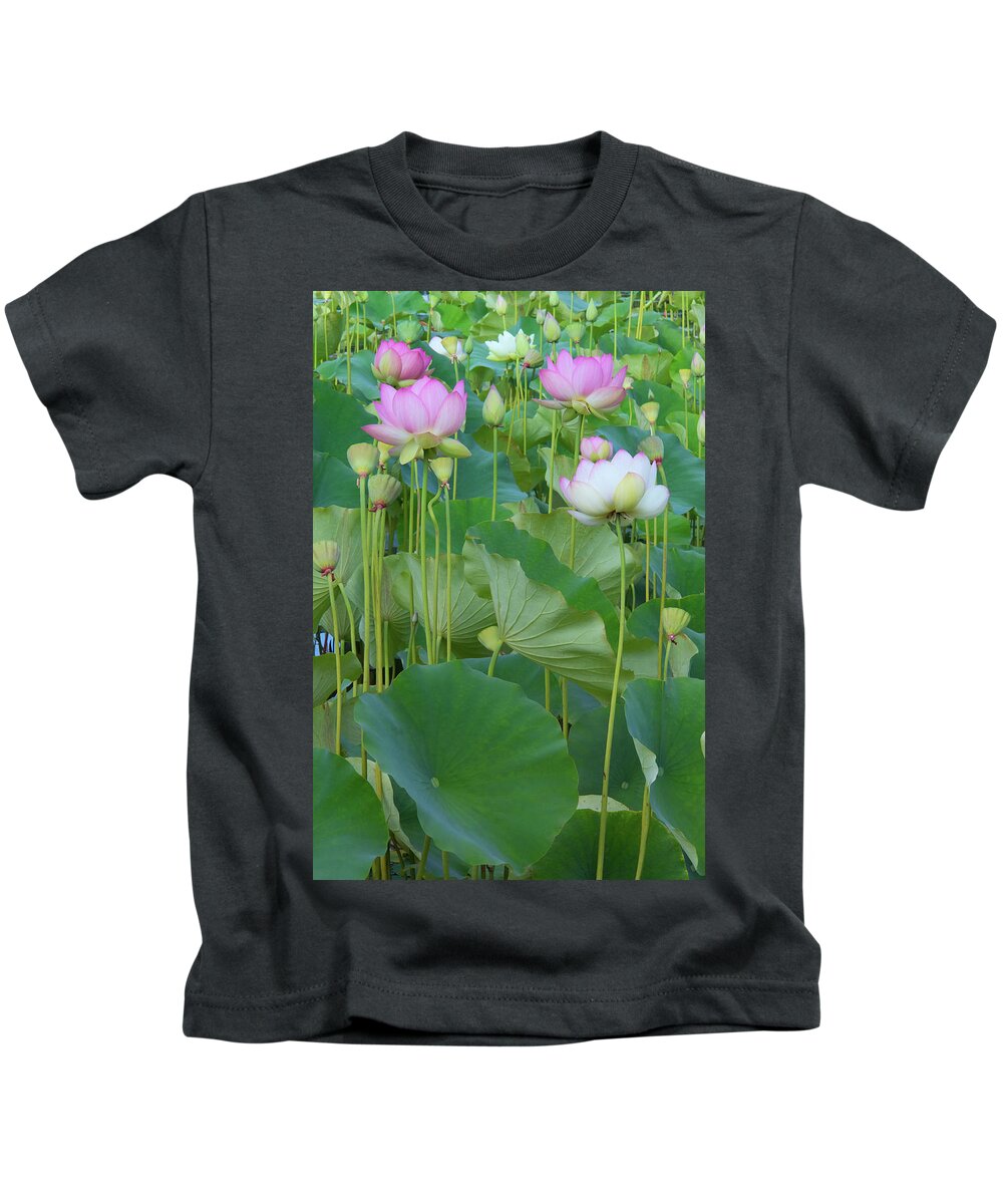 Lotus Blooms Kids T-Shirt featuring the photograph Lotus Flowers by Ram Vasudev