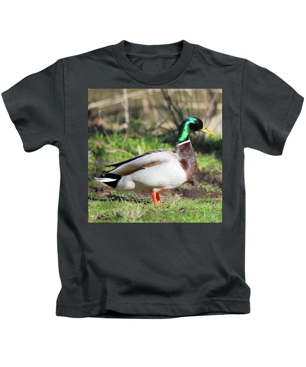 Water Bird Kids T-Shirt featuring the photograph Male Mallard Standing Proud by Scott Burd