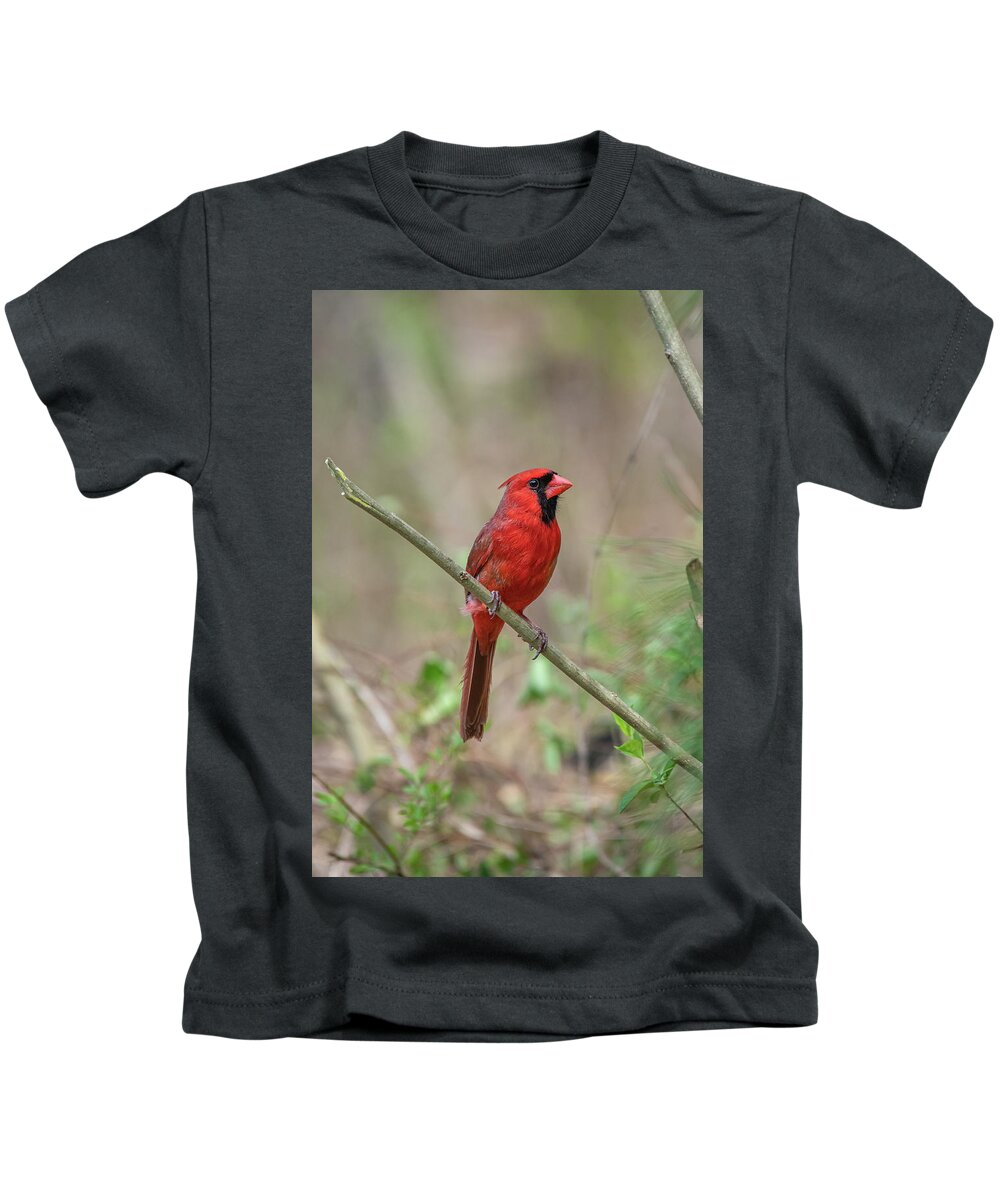 Blue Ridge Parkway Kids T-Shirt featuring the photograph Male Northern Cardinal by Robert J Wagner
