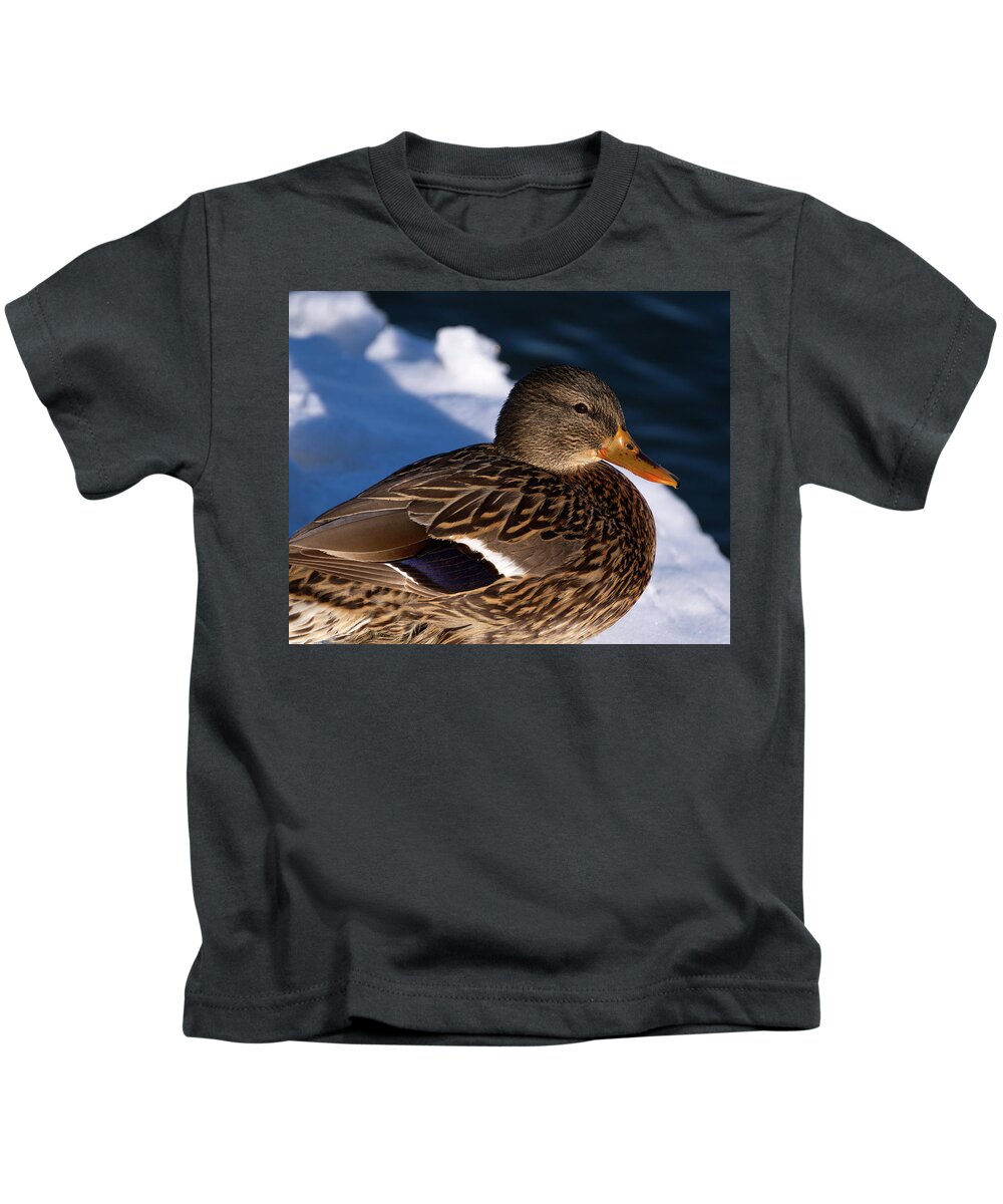 Duck Kids T-Shirt featuring the photograph Mallard Duck in WInter by Flinn Hackett