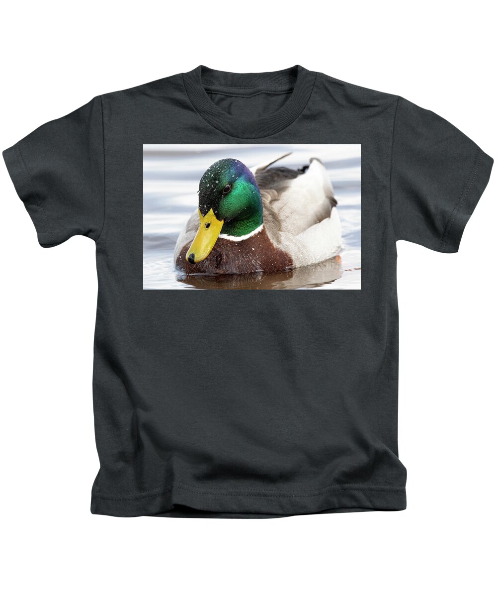 Duck Kids T-Shirt featuring the photograph Mallard Duck on the Neuse River of Eastern North Carolina by Bob Decker
