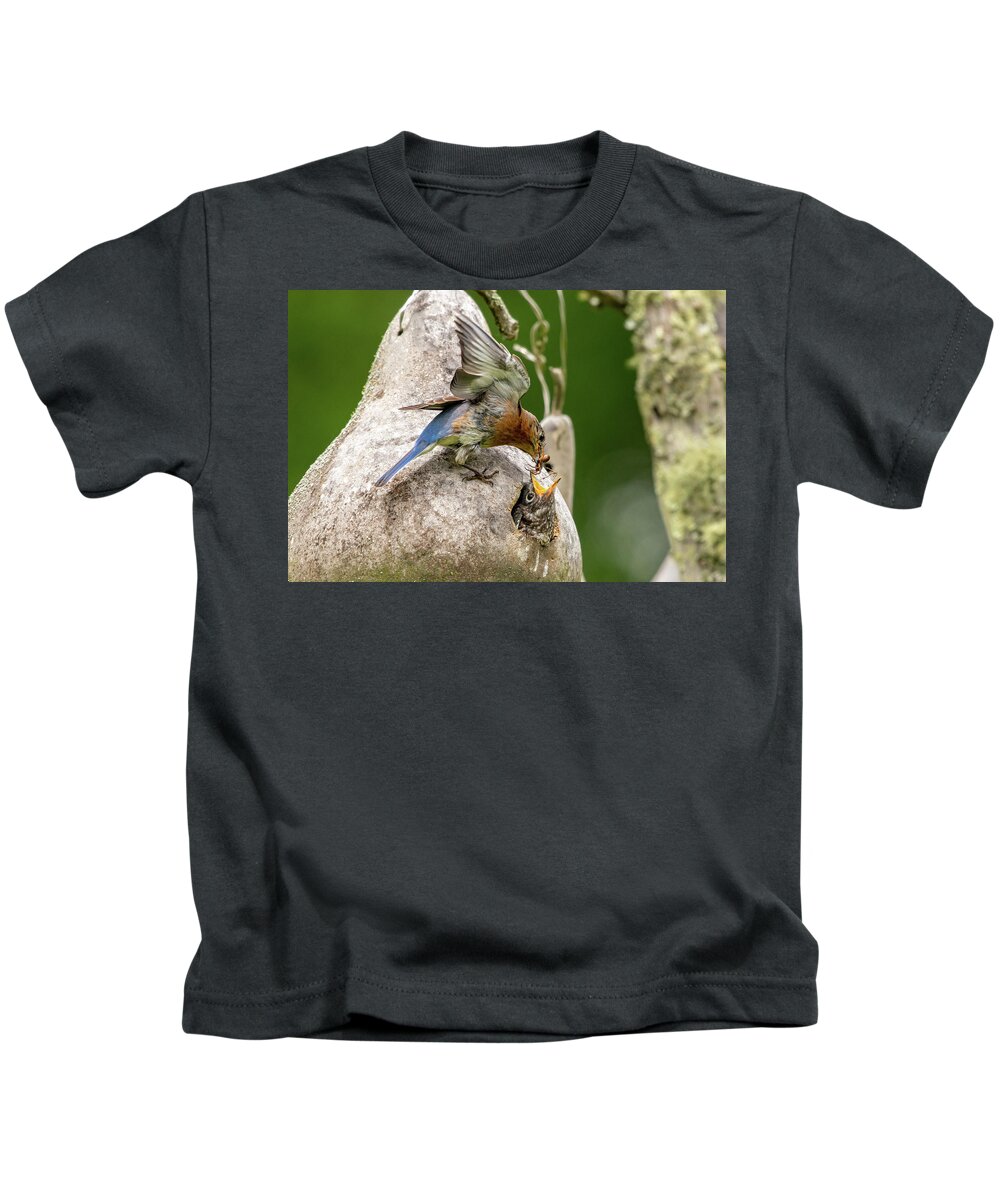 Blue Ridge Parkway Kids T-Shirt featuring the photograph Mama Feeding Her Young by Robert J Wagner