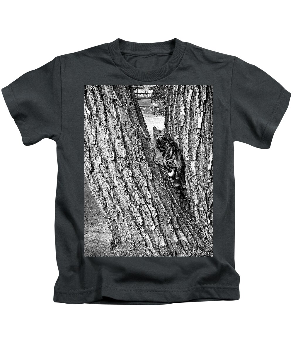 Animal Kids T-Shirt featuring the photograph Marbled Tabby Kitten Climbs Tree in Abiquiu New Mexico by Mary Lee Dereske