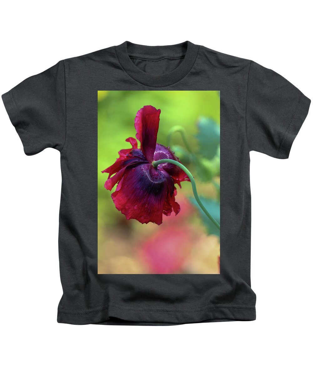 Photography Kids T-Shirt featuring the photograph Mist Kissed by Mary Anne Delgado