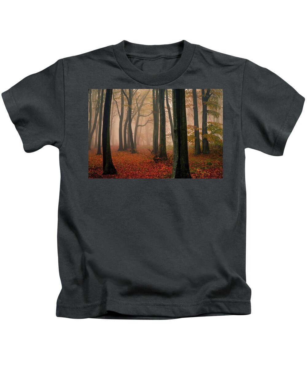 Balkan Mountains Kids T-Shirt featuring the photograph Misty Autumn Forest by Evgeni Dinev