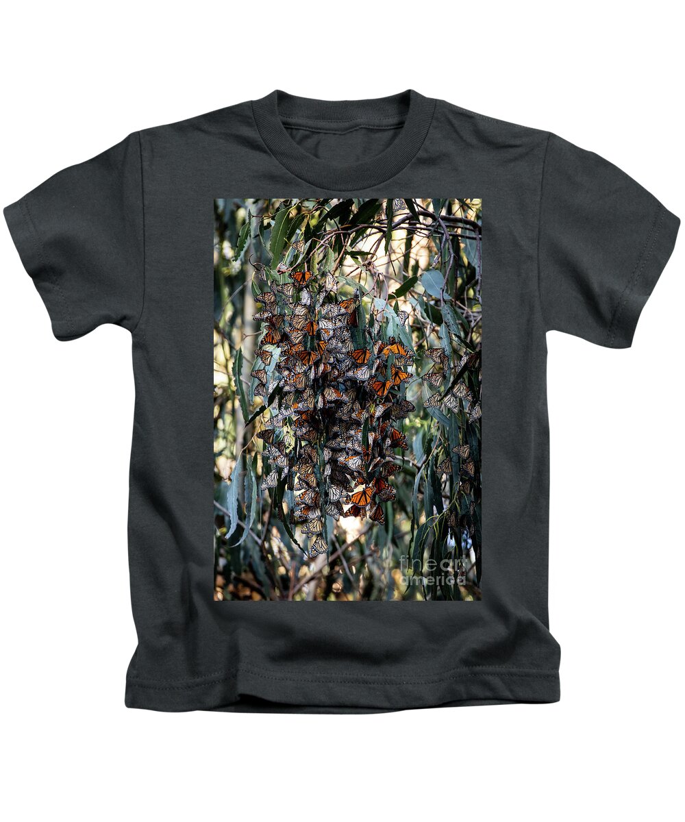 Paso Robles Kids T-Shirt featuring the photograph Monarch Cuddles by Erin Marie Davis
