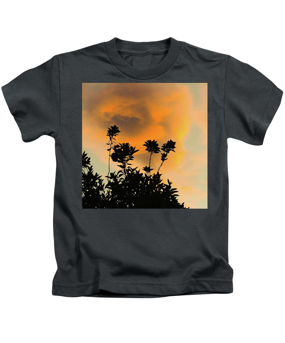 Silhouette Kids T-Shirt featuring the photograph Monsoon Sunset by Grey Coopre