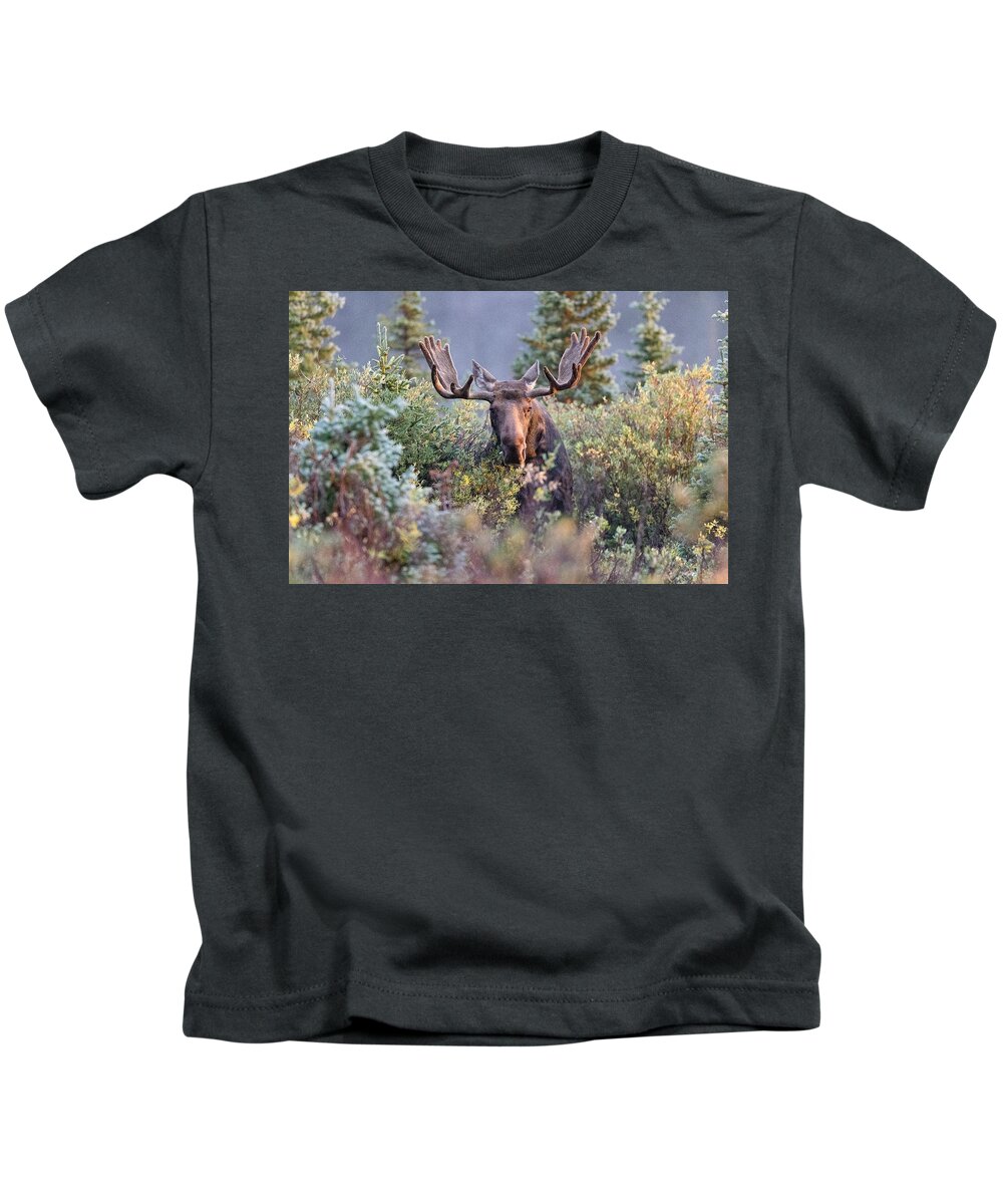 Moose Kids T-Shirt featuring the photograph Moose Bull Grazing in the Early Morning Light by Tony Hake