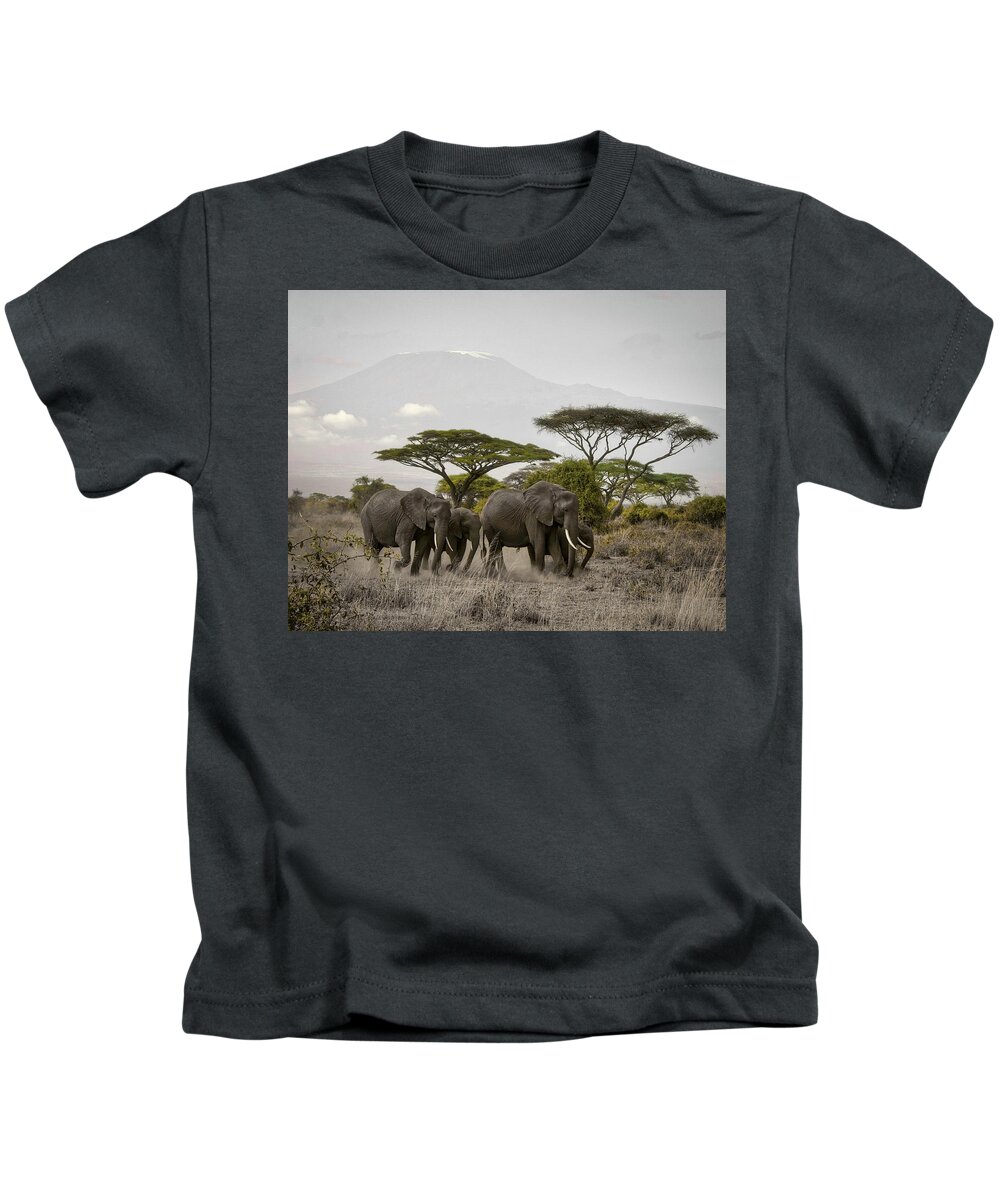 Moving Elephants Kids T-Shirt featuring the photograph Moving Elephants by Gene Taylor