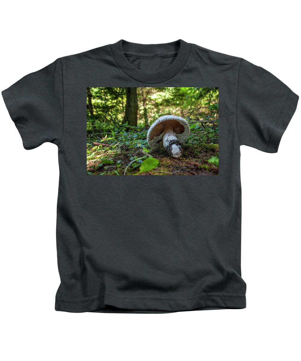 Kortwright Conservation Area Kids T-Shirt featuring the photograph Mushroom Grows in a Forest 2 by John Twynam