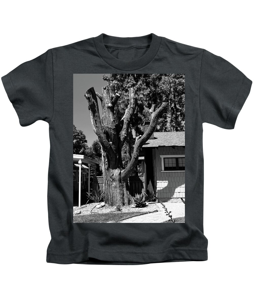 Tree Kids T-Shirt featuring the photograph Nature's Sculpture by Calvin Boyer