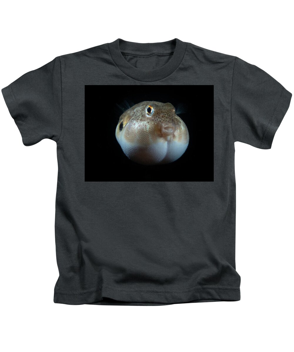Fish Kids T-Shirt featuring the photograph Northern Puffer by Brian Weber