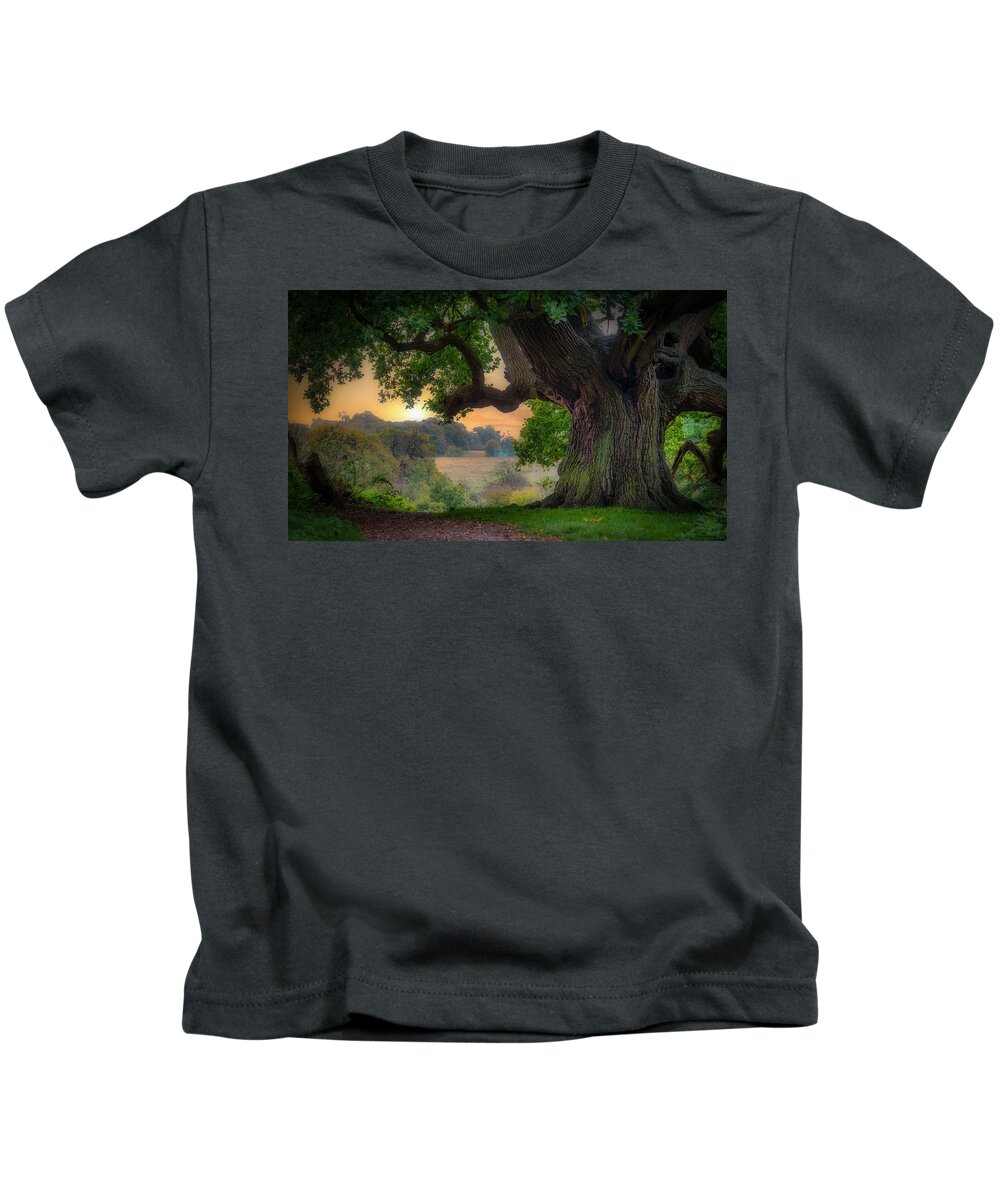 Old Oak Kids T-Shirt featuring the photograph Old oak in the morning 2 by Remigiusz MARCZAK