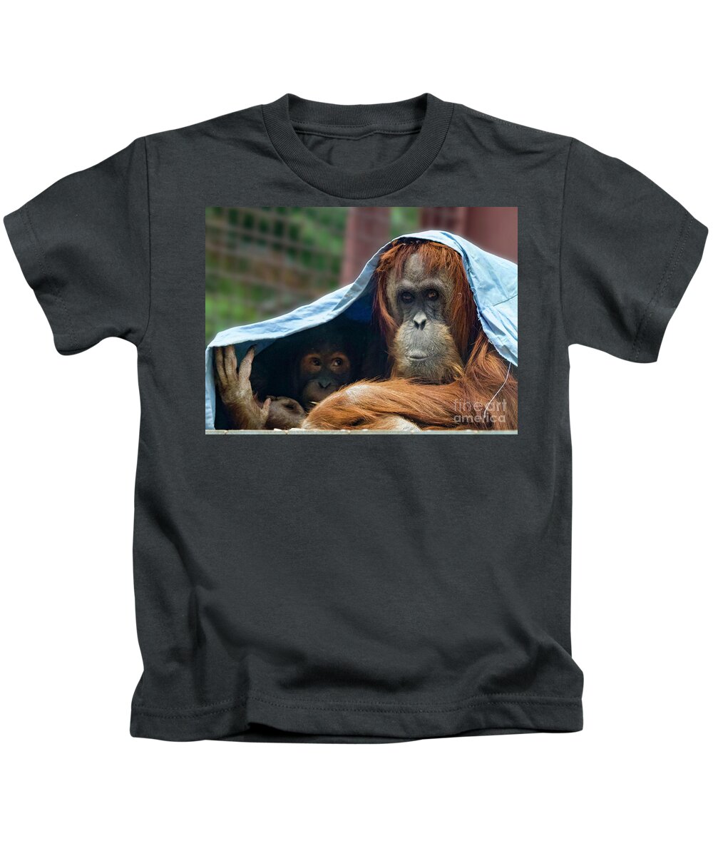 Orangutans Kids T-Shirt featuring the photograph Orangutan Mom and Baby by Shirley Dutchkowski