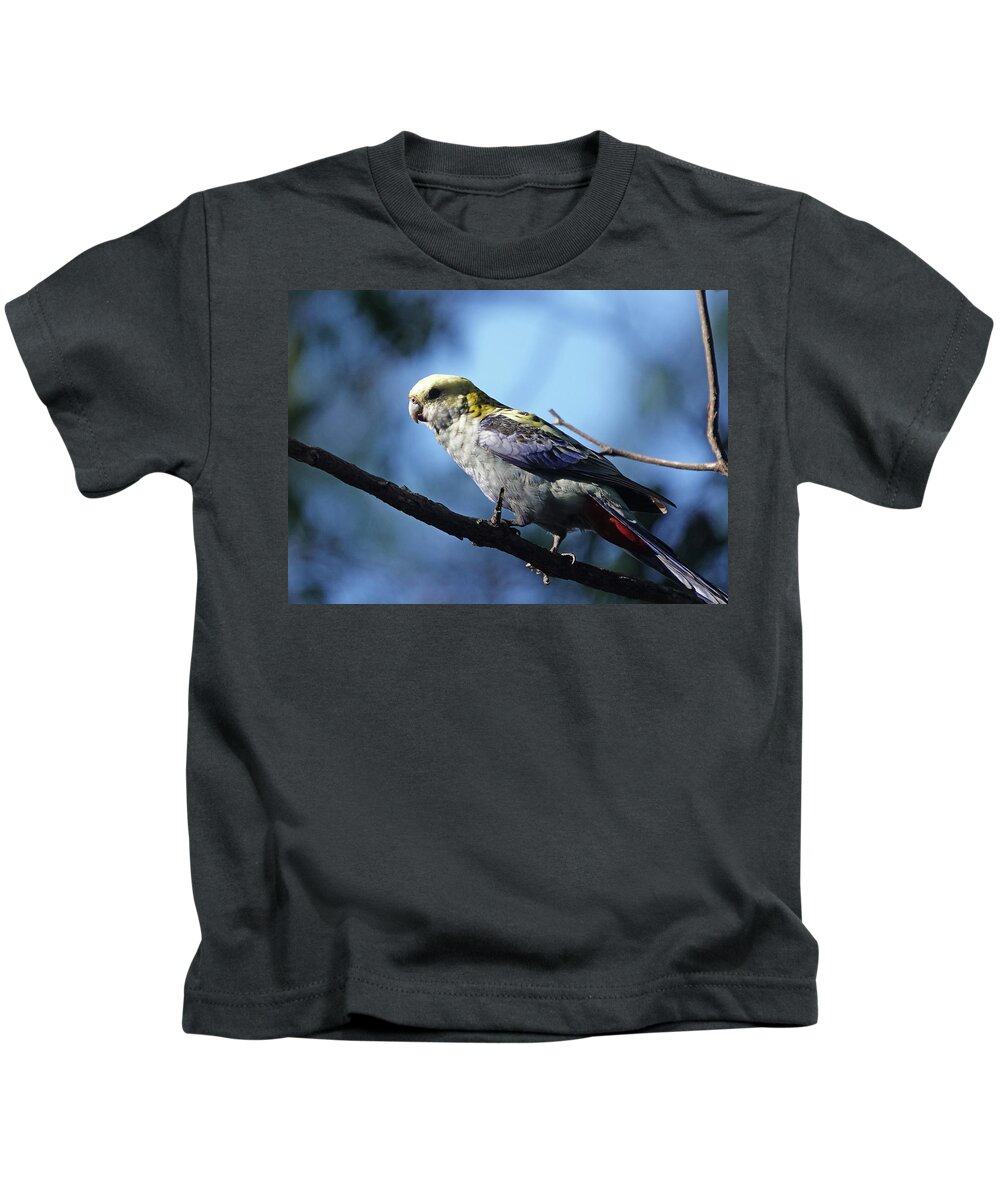 Birds Kids T-Shirt featuring the photograph Pale-headed Rosella perched by Maryse Jansen