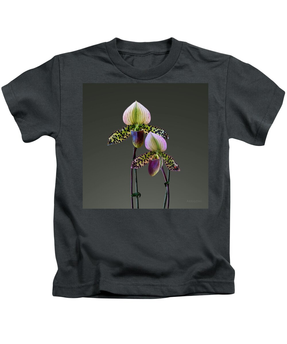 Paphiopedilum Orchids Kids T-Shirt featuring the painting Paphiopedilum Slipper Orchids by David Arrigoni