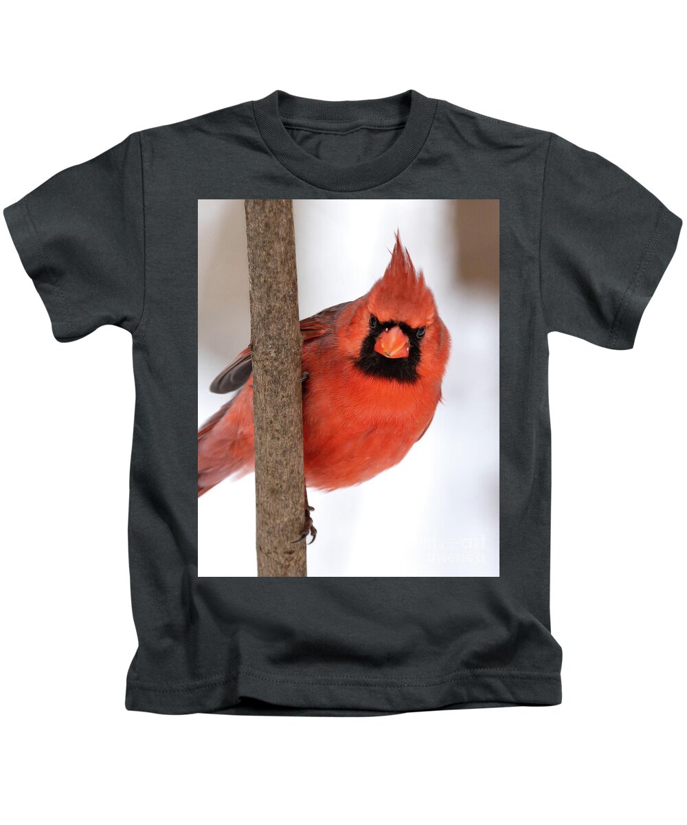 Cardinal Kids T-Shirt featuring the photograph Peekaboo by Alyssa Tumale