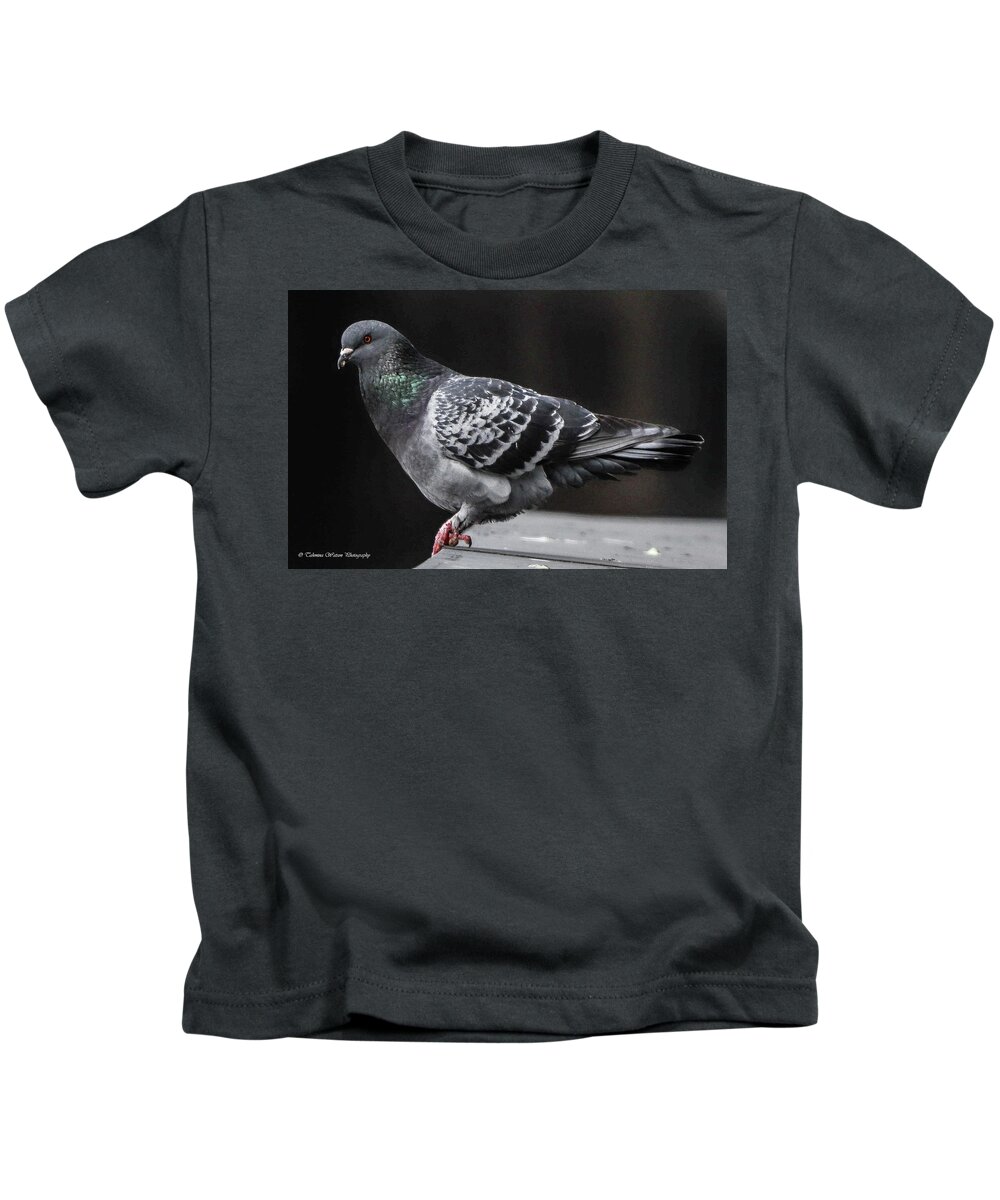 Pidgeon Kids T-Shirt featuring the photograph Pidgeon in Contemplation by Tahmina Watson