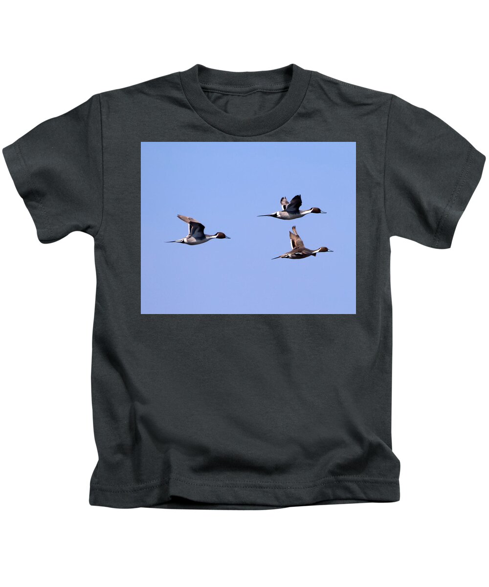 Pintail Kids T-Shirt featuring the photograph Pintails in Flight by Flinn Hackett