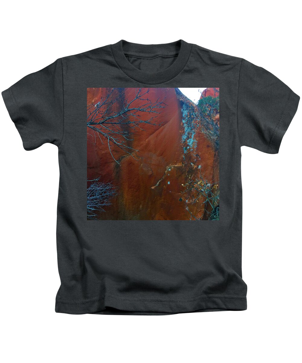 Pollack Kids T-Shirt featuring the photograph Pollack in Sandstone by Wayne King