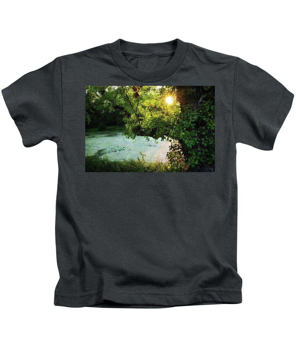 Pond Kids T-Shirt featuring the photograph Pond And Old Tree At Sunset by Artur Bogacki