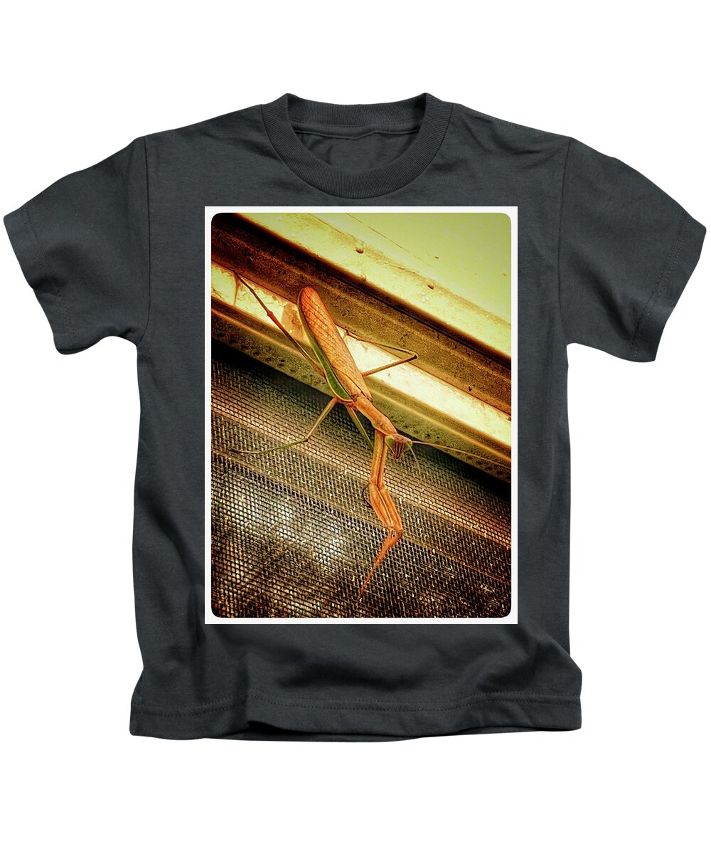 Praying Mantis Kids T-Shirt featuring the digital art Praying Mantis by Kristin Hatt