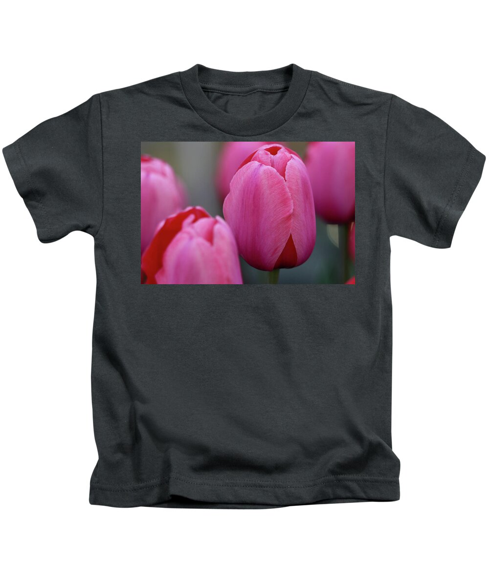 Tulip Kids T-Shirt featuring the photograph Pretty in Pink by Mary Anne Delgado