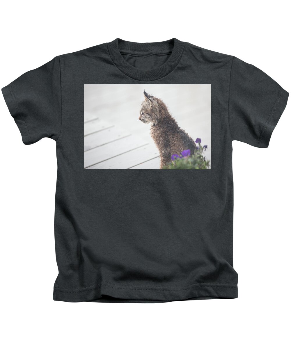 Lynx Kids T-Shirt featuring the photograph Profile In Kitten by Tim Newton
