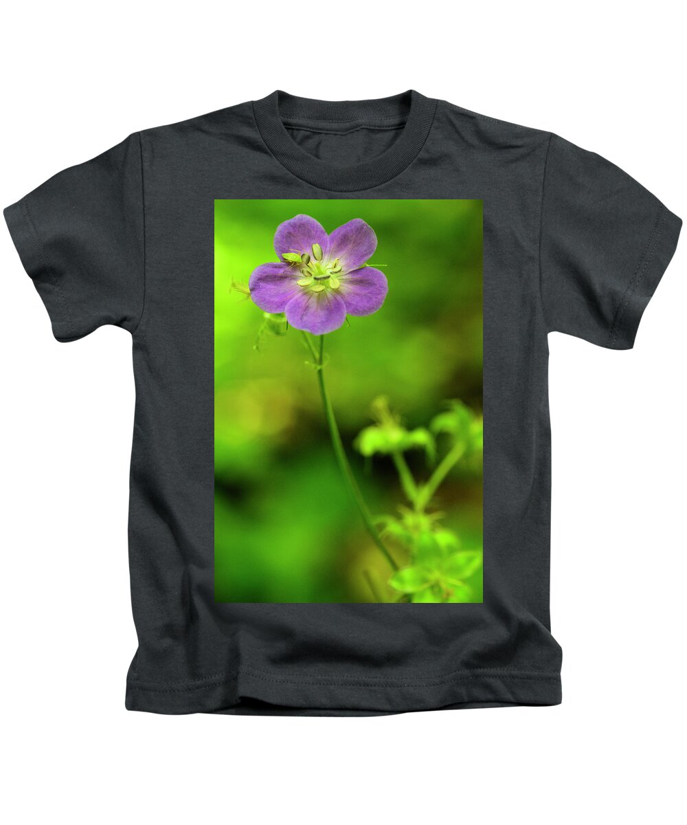 Blue Ridge Mountains Kids T-Shirt featuring the photograph Purple and Green by Melissa Southern