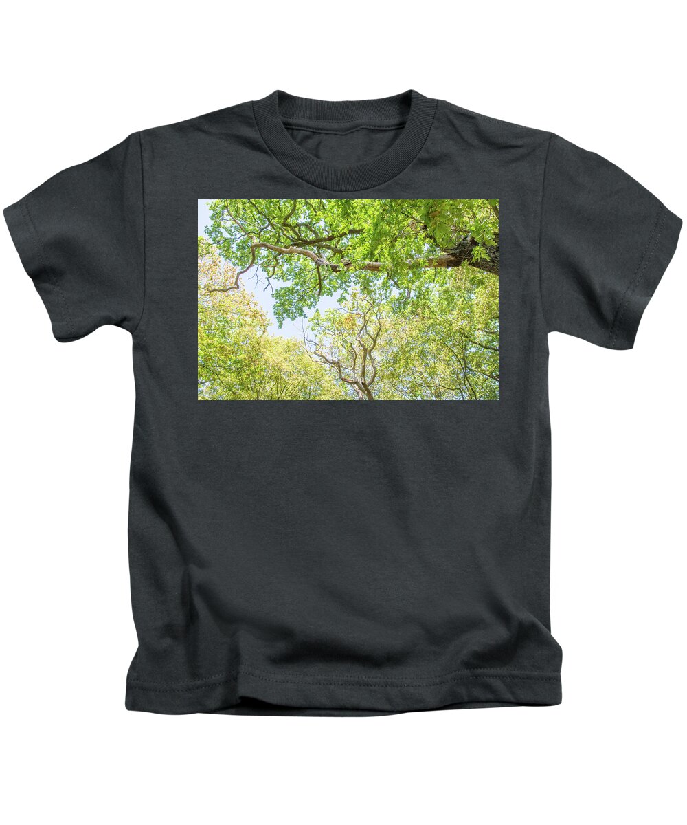Queen's Wood Kids T-Shirt featuring the photograph Queen's Wood Trees Fall 3 by Edmund Peston