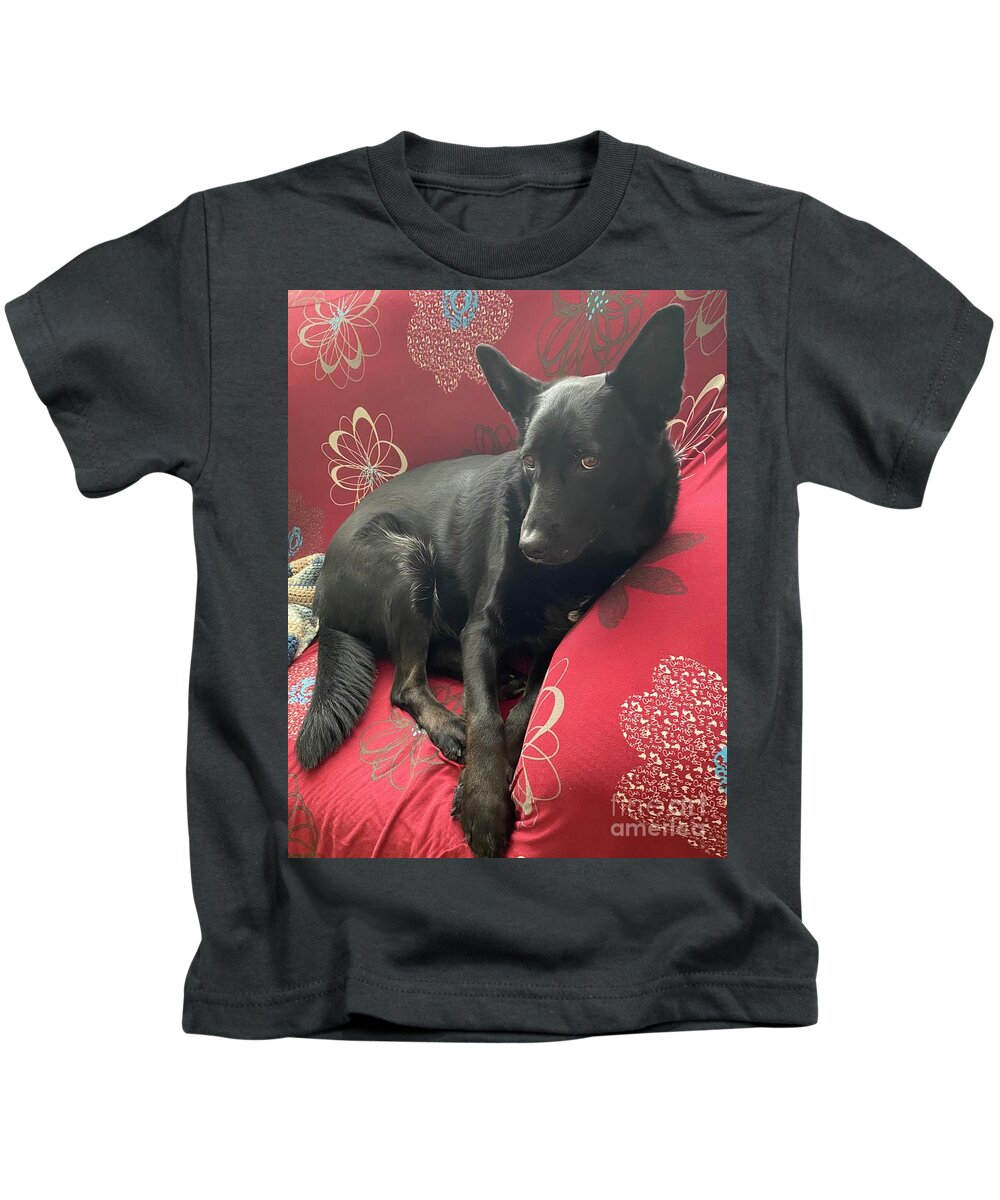Dog Kids T-Shirt featuring the photograph Rainbow on red couch by Judy Dimentberg
