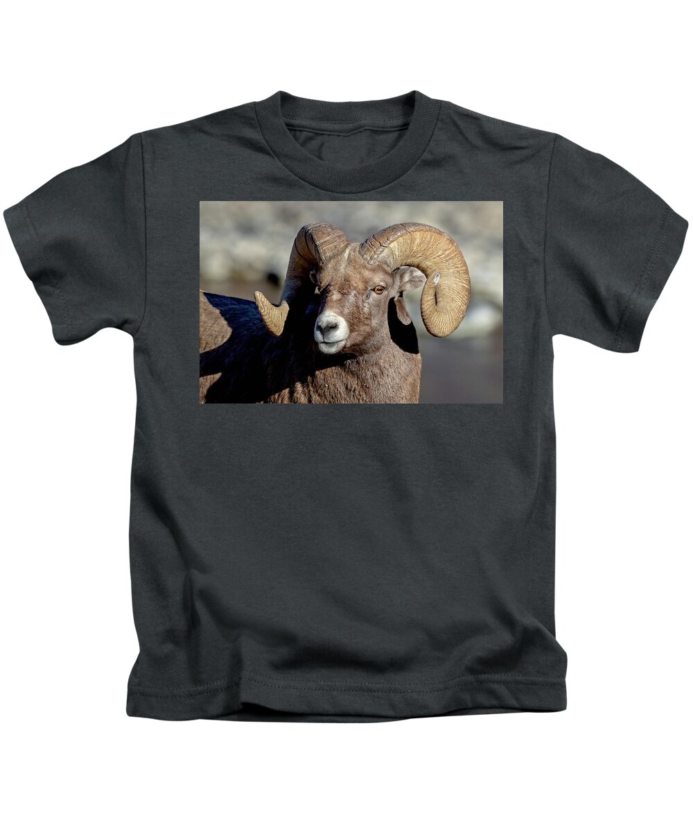 Bighorn Ram Kids T-Shirt featuring the photograph Ram Tough by Jack Bell
